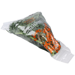 CHOU CURLY KALE 10X300G